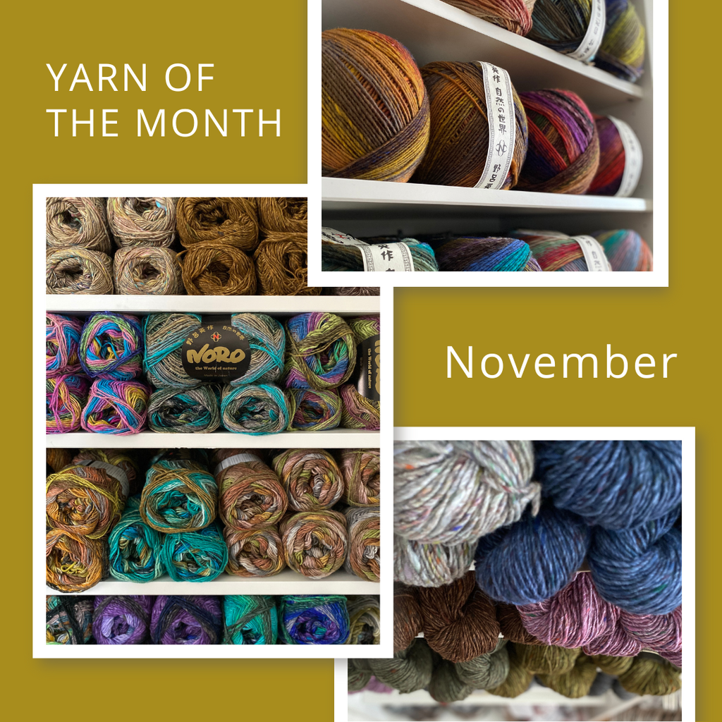 November's Yarn of the Month: Noro – Little Red Mitten