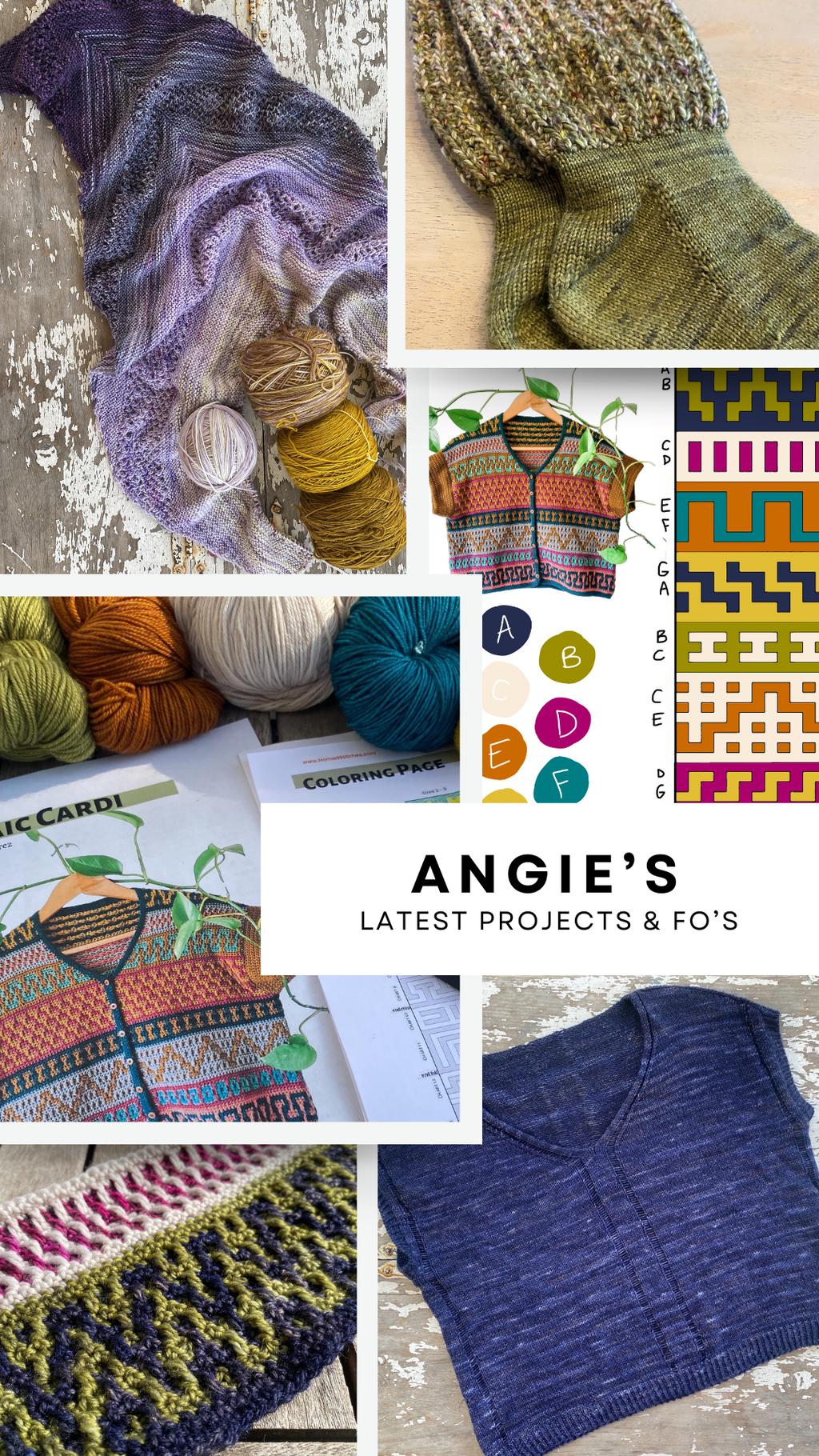 Staff Feature: Checking in with Angie in 2025