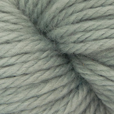 Silver 303