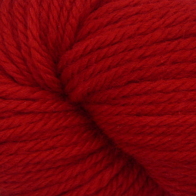 Cardinal 07
