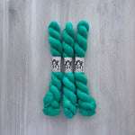 Leo & Roxy Yarn Co. Natural Sock Minis