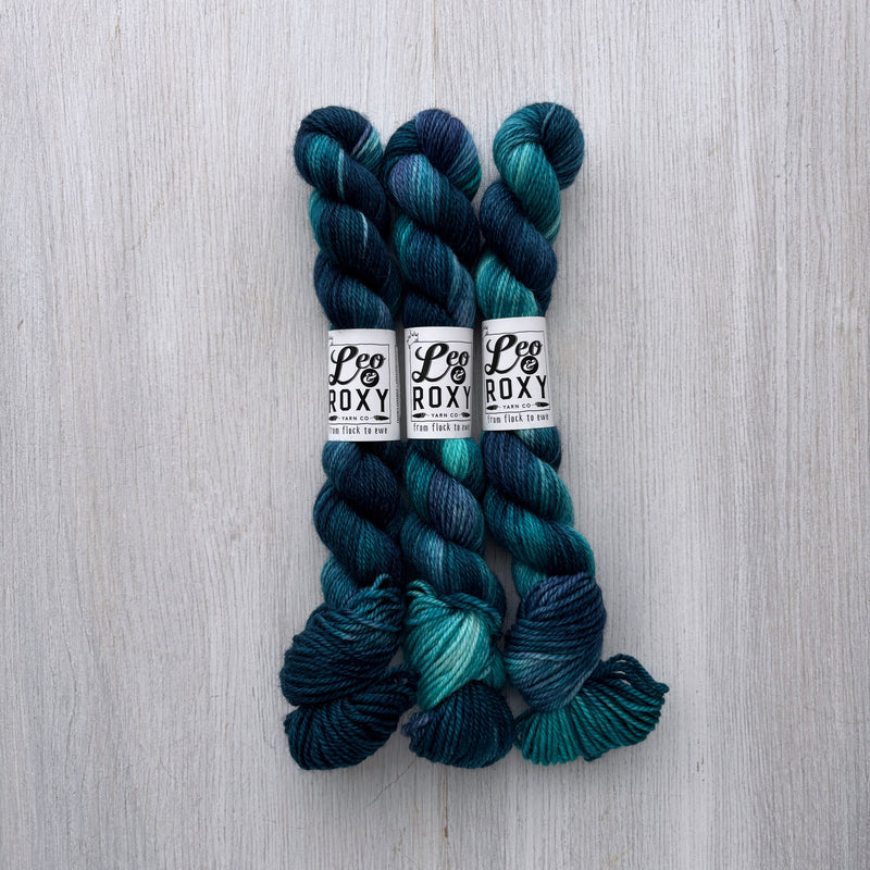 Leo & Roxy Yarn Co.: Sock Minis