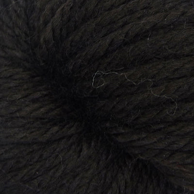 Brown Bear 313