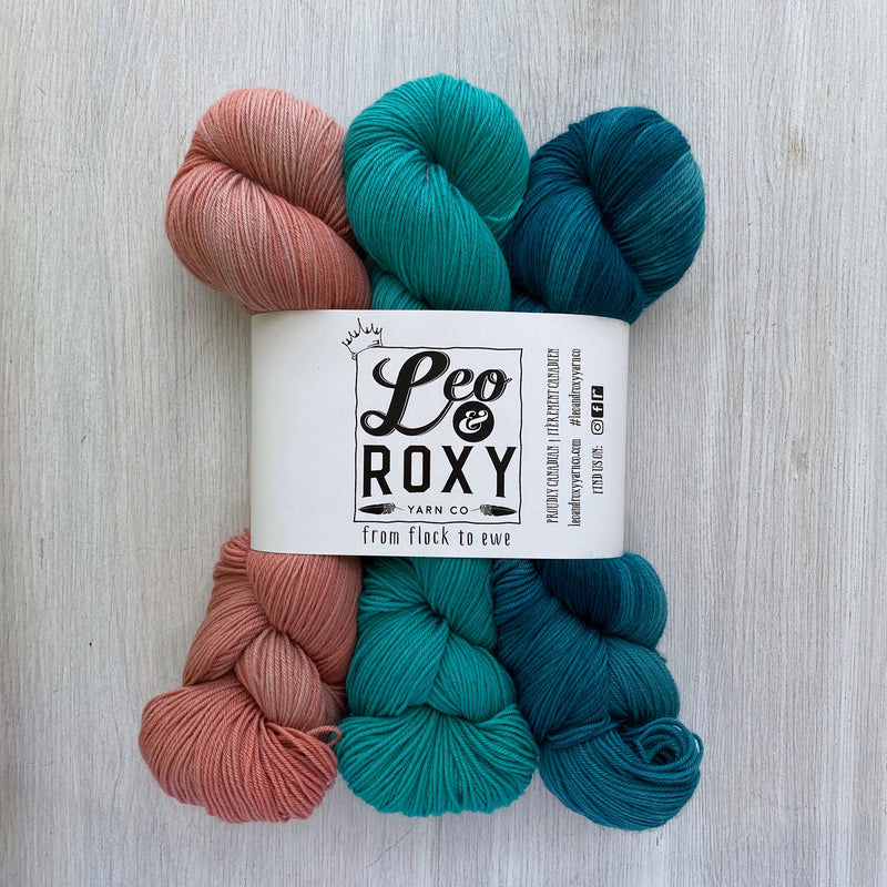 Leo & Roxy Yarn Co. Colour Block Kits