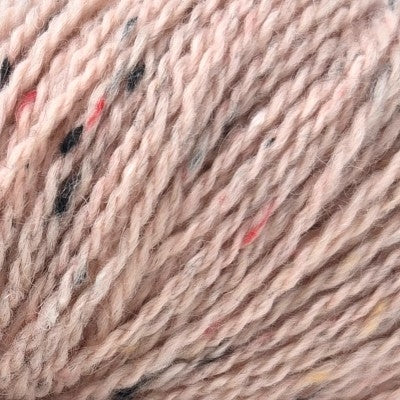 Salmon 29
