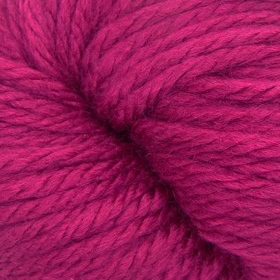 Blossom 336