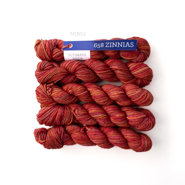 658 Zinnias