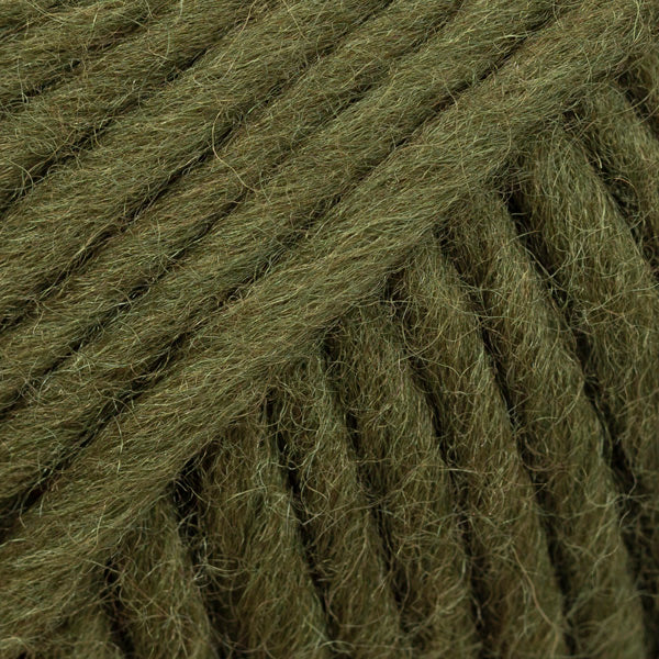092 Dark Moss
