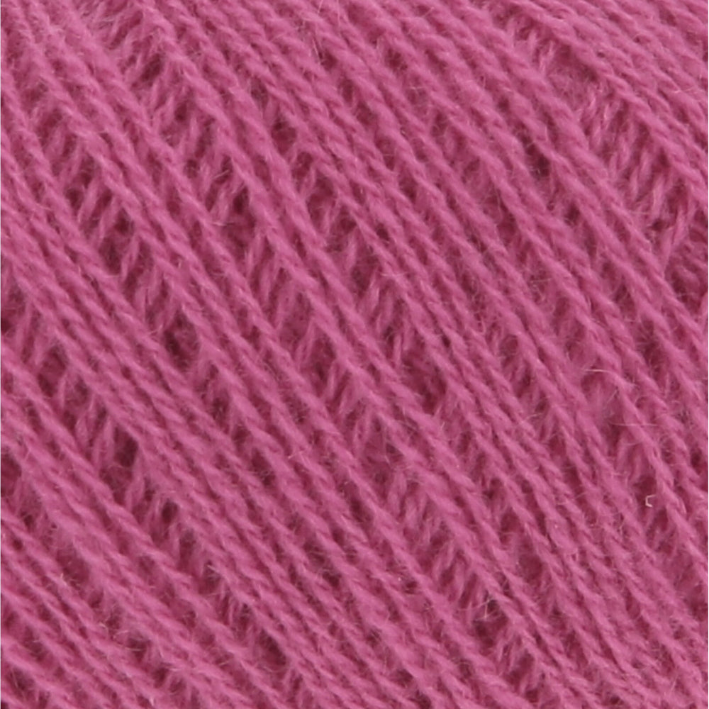 Fuchsia 0065