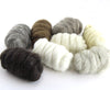 Combed Top - Breed Discovery Pack