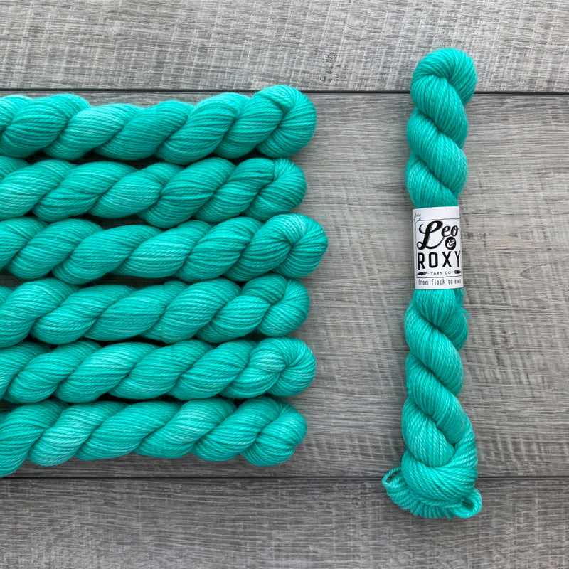 Leo & Roxy Yarn Co.: Sock Minis