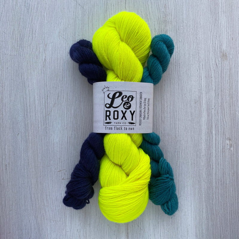 Leo & Roxy Yarn Co. Natural Sock Sets