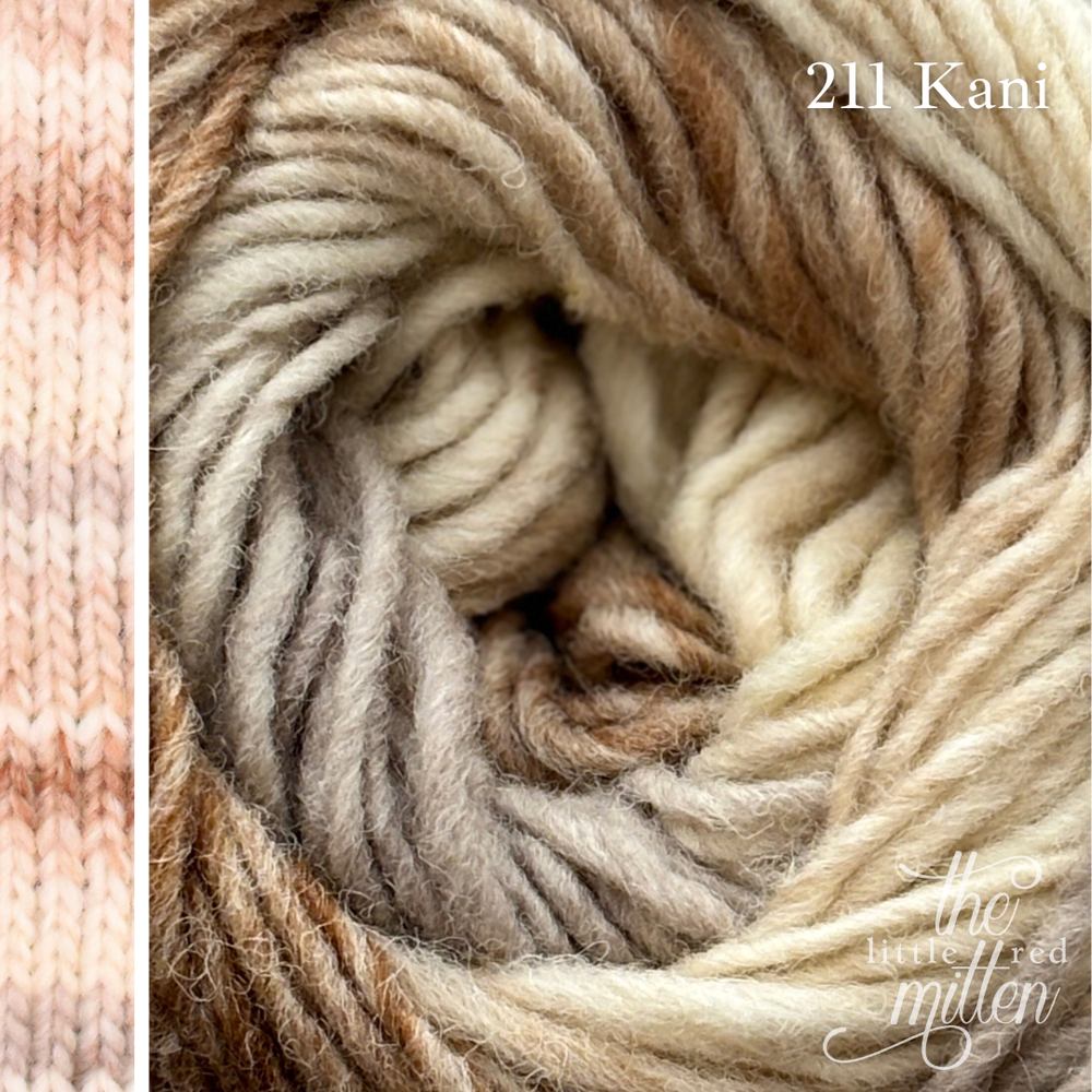 211 Kani