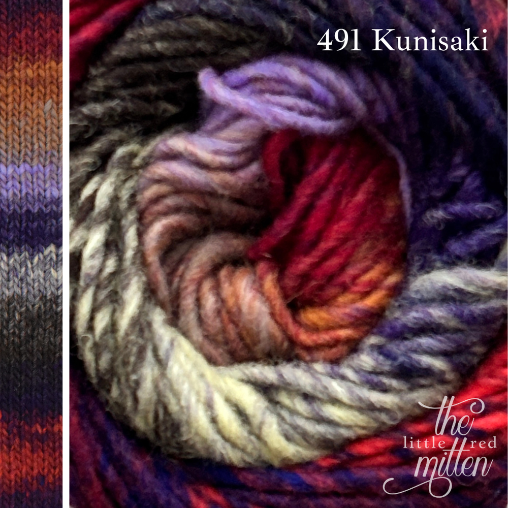 491 Kunisaki
