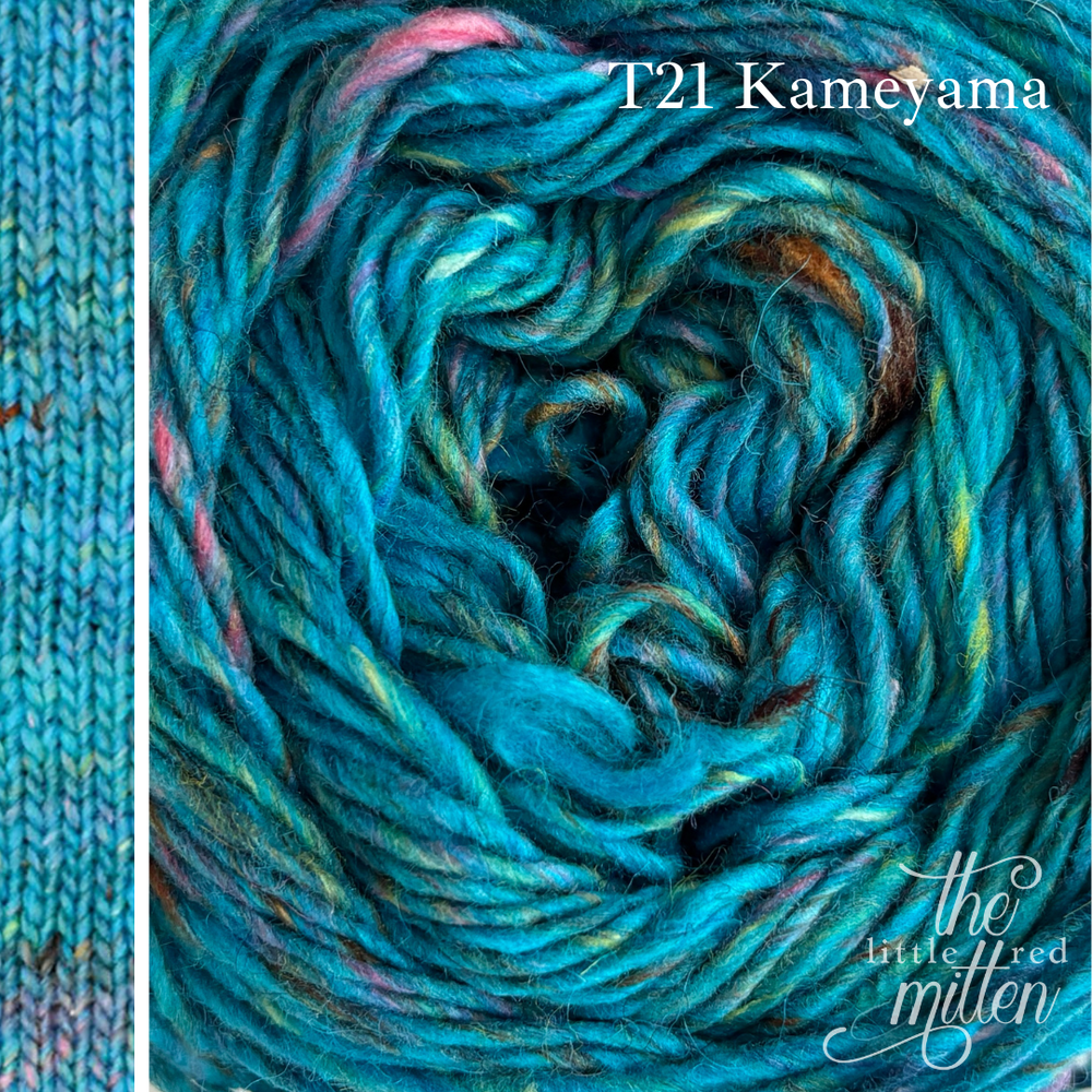 TW21 Kameyama