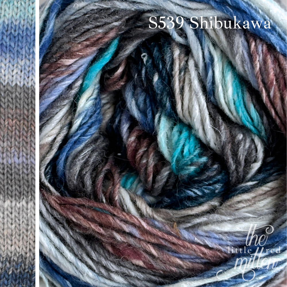 S539 Shibukawa