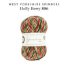 WYS Signature 4 Ply: Christmas & Holiday Colours