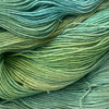 Baa'd Girl Yarns: County Vacay Sock