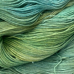 Baa'd Girl Yarns: County Vacay Sock