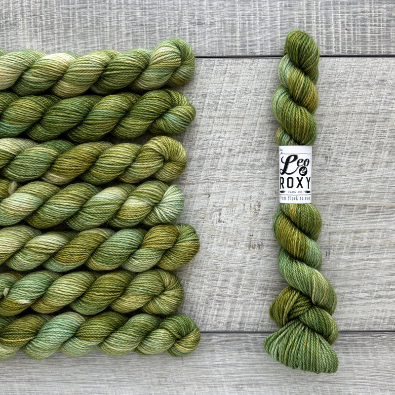 Leo & Roxy Yarn Co.: Sock Minis