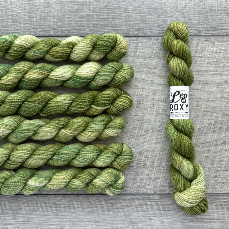 Leo & Roxy Yarn Co.: Sock Minis