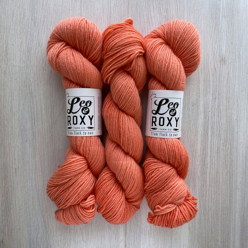 Leo & Roxy Yarn Co.: BFL DK