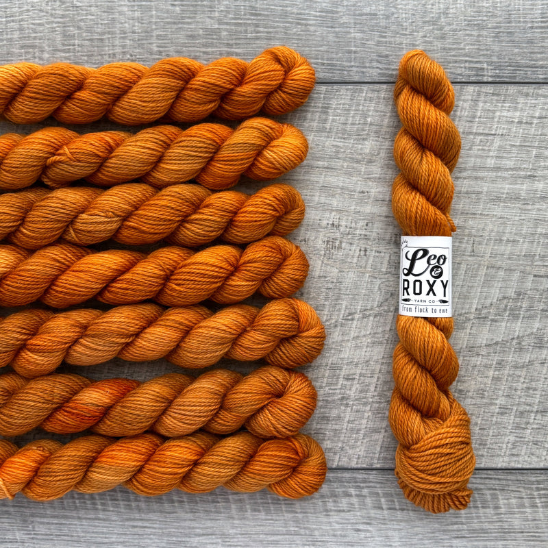 Leo & Roxy Yarn Co.: Sock Minis