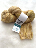 Baa'd Girl Yarns: County Vacay Sock