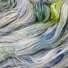 Baa'd Girl Yarns: County Vacay Sock