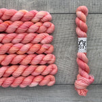Leo & Roxy Yarn Co.: Sock Minis