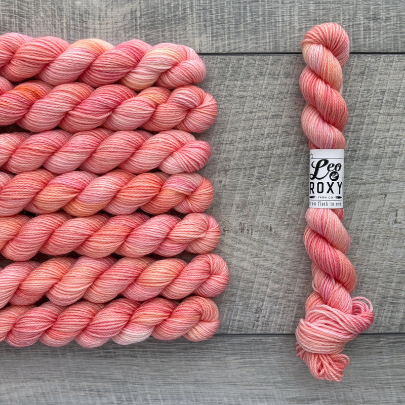 Leo & Roxy Yarn Co.: Sock Minis