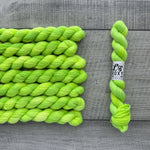 Leo & Roxy Yarn Co.: Sock Minis