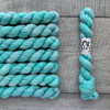 Leo & Roxy Yarn Co.: Sock Minis