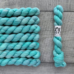 Leo & Roxy Yarn Co.: Sock Minis