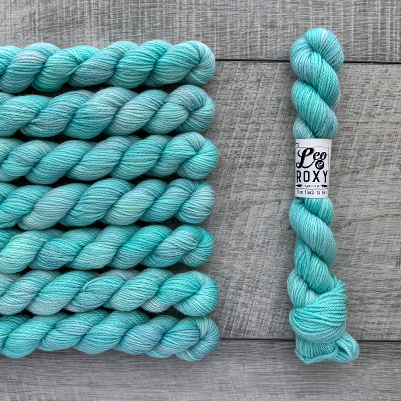 Leo & Roxy Yarn Co.: Sock Minis