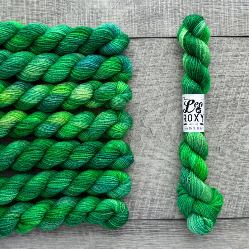 Leo & Roxy Yarn Co.: Sock Minis