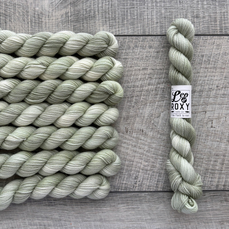 Leo & Roxy Yarn Co.: Sock Minis