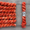 Leo & Roxy Yarn Co.: Sock Minis