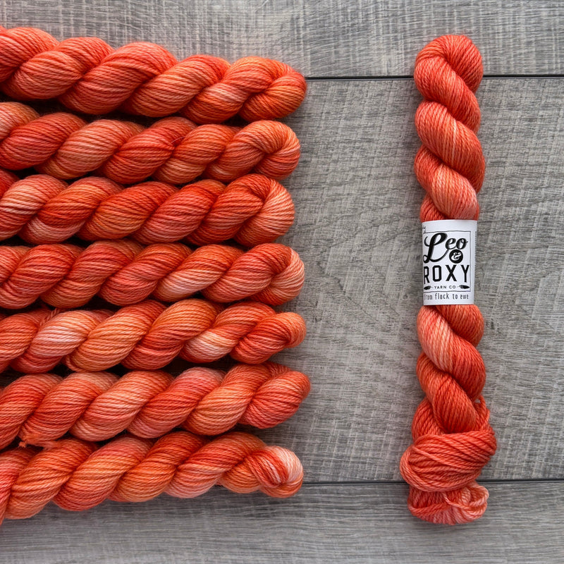 Leo & Roxy Yarn Co.: Sock Minis