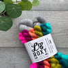 Miniskeins Go Big Shawl Kit