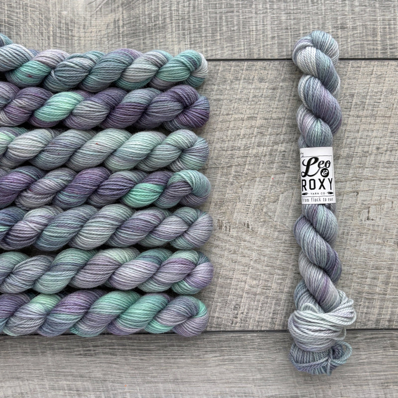Leo & Roxy Yarn Co.: Sock Minis