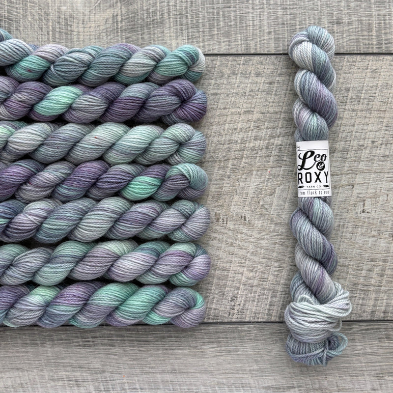 Leo & Roxy Yarn Co.: Sock Minis