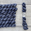 Leo & Roxy Yarn Co.: Sock Minis