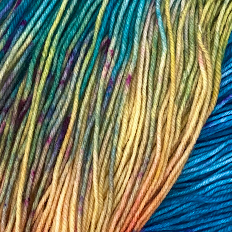 Baa'd Girl Yarns: County Vacay Sock