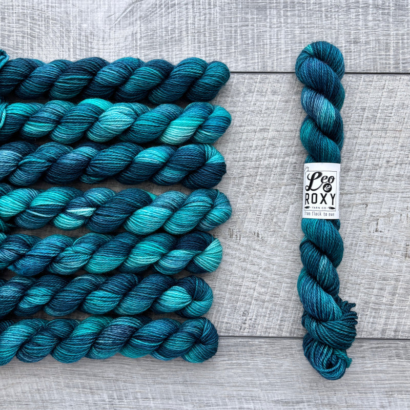 Leo & Roxy Yarn Co.: Sock Minis