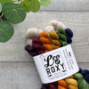 Miniskeins Go Big Shawl Kit