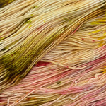 Baa'd Girl Yarns: County Vacay Sock