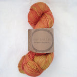 Lichen and Lace 80/20 Sock