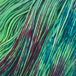 Baaa'd Girl Yarns: Silky Ewe Sock - County Vacay Yarns