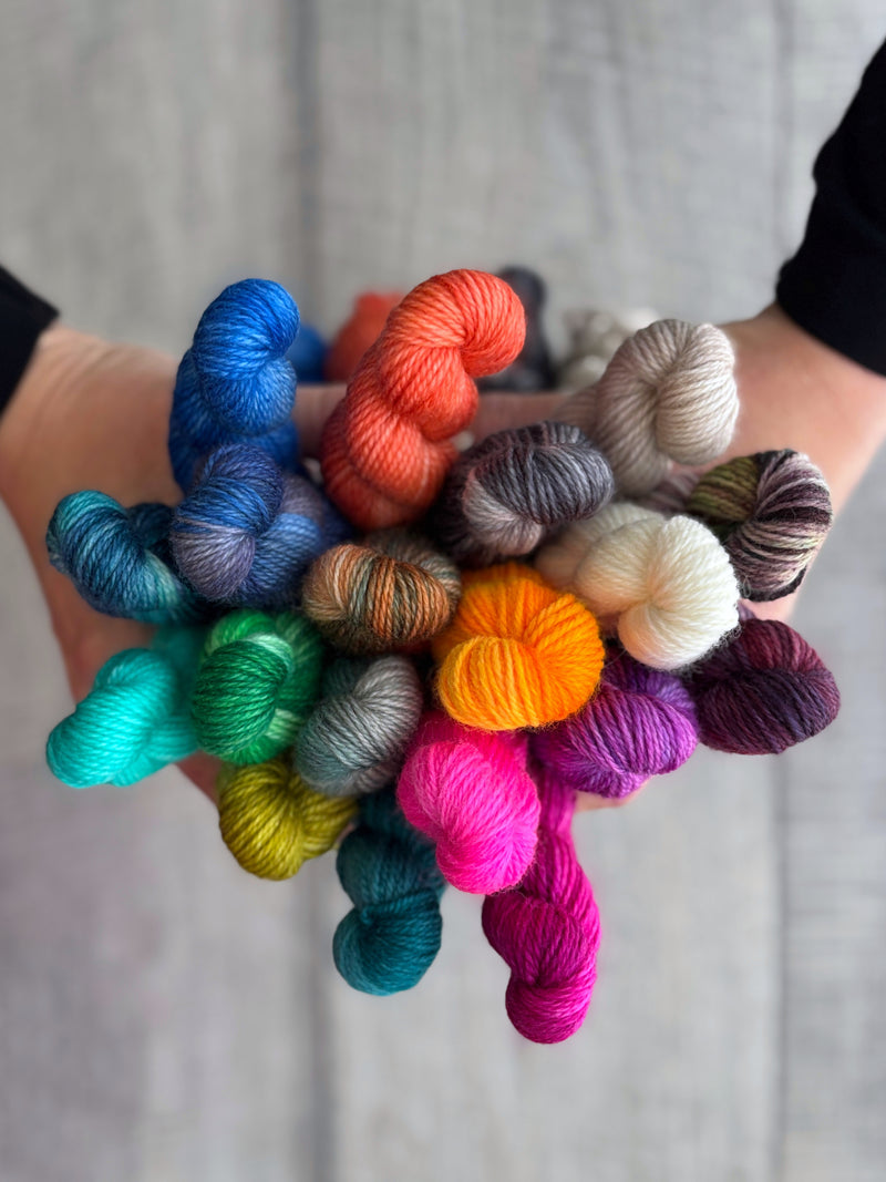 Leo & Roxy Yarn Co.: Sock Minis